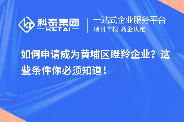 如何申請成為黃埔區瞪羚企業?這些條件你必須知道!